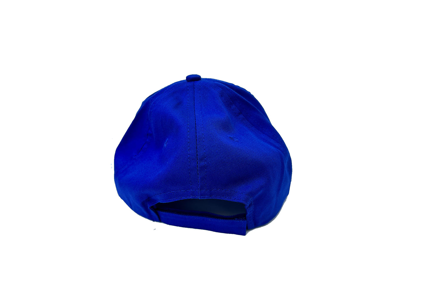 Blue Logo Hat